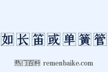 如长笛或单簧管是什么意思的图片